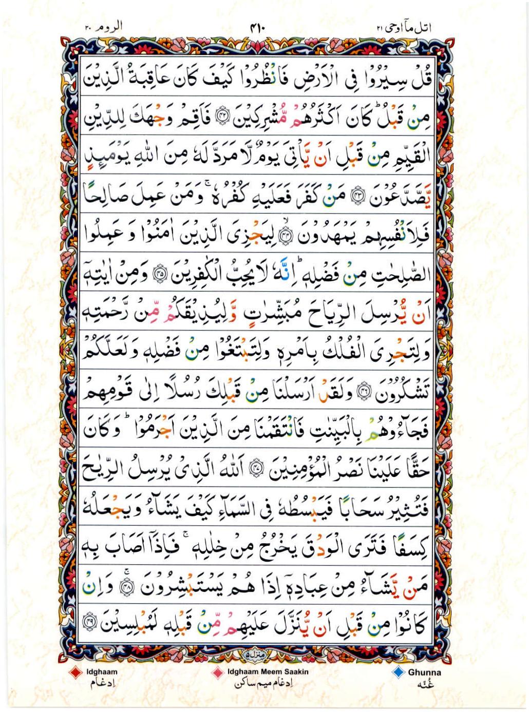 Reading Al Quran 15 Lines Part / Chapter / Siparah 21 Page 410