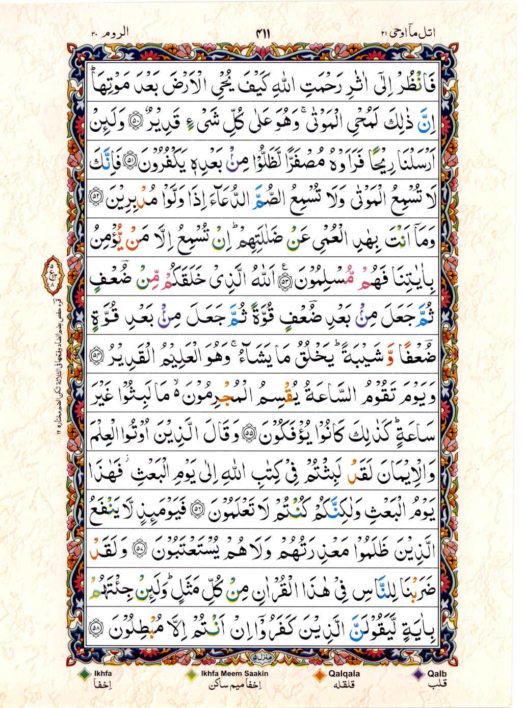Reading Al Quran 15 Lines Part / Chapter / Siparah 21 Page 411