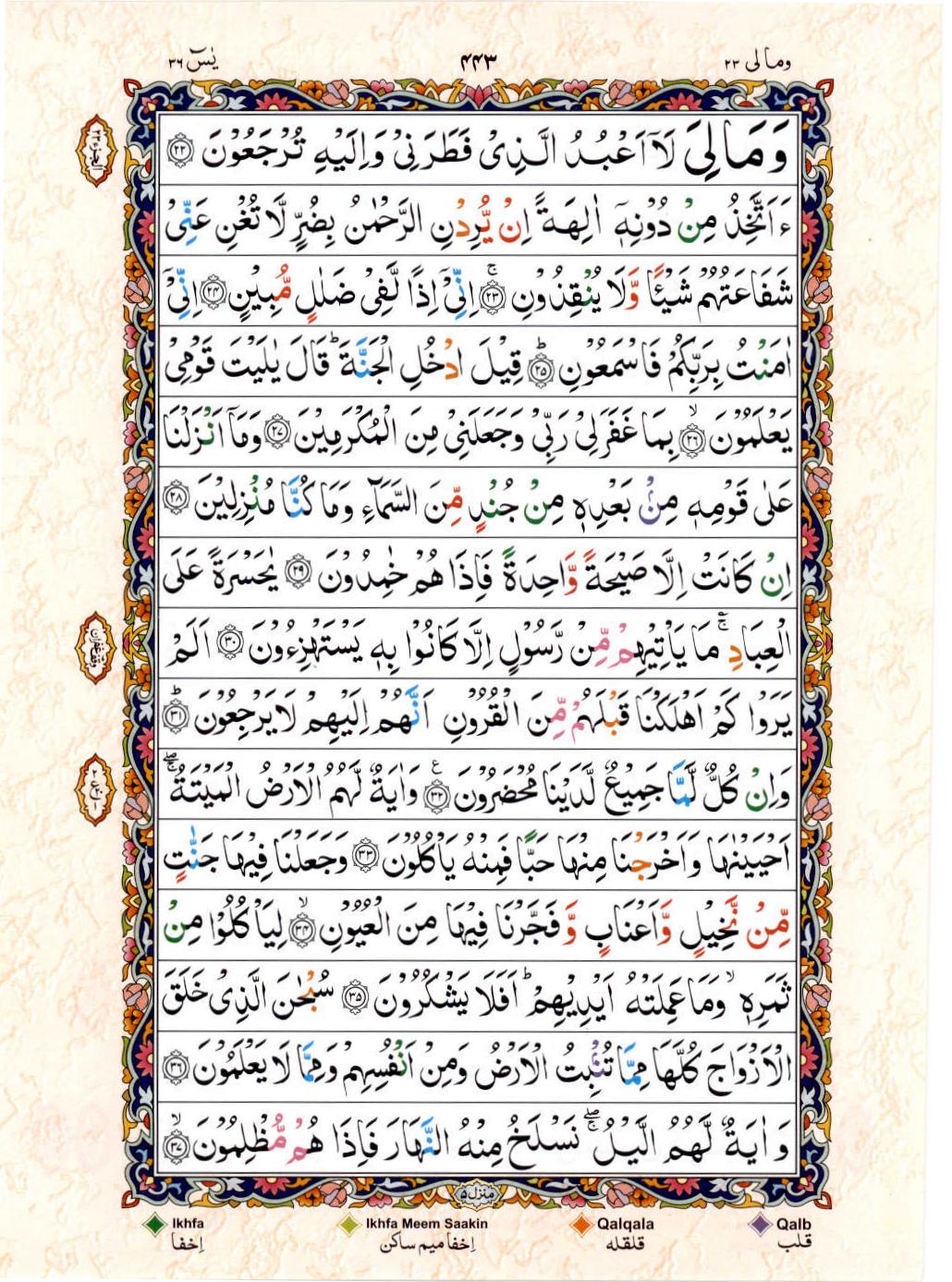 Reading Al Quran 15 Lines Part / Chapter / Siparah 23 Page 443