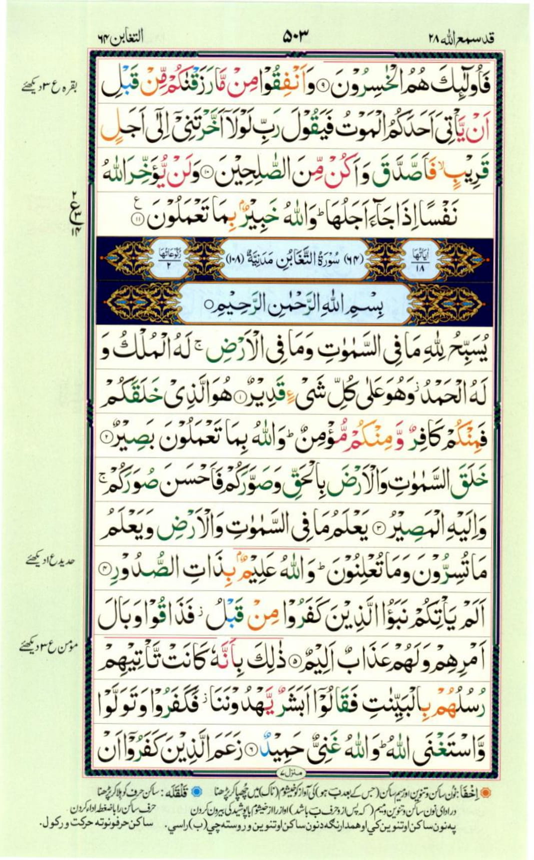 Reading Al Quran Part / Chapter / Siparah 28 Page 503